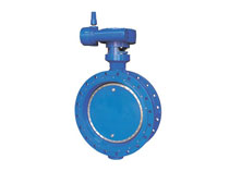 Double Eccentric Butterfly Valve